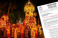 අවසන් රන්දෝලි පෙරහර වෙනුවෙන් විශේෂ රථවාහන සැලැස්මක්