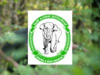 'වනජීවී නිලධාරීන් 8000ක් ඕනෑ රටේ ඉන්නේ 800යි'