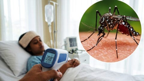 ලංකාවේ ඩෙංගු රෝගීන් සහ අධි අවදානම් සෞඛ්ය වෛද්ය නිලධාරී කොට්ඨාස පිළිබඳ සංකේතාත්මක රූපයක්