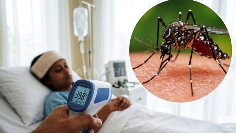 ලංකාවේ ඩෙංගු රෝගීන් සහ අධි අවදානම් සෞඛ්ය වෛද්ය නිලධාරී කොට්ඨාස පිළිබඳ සංකේතාත්මක රූපයක්